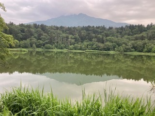 IMG_1517.JPG