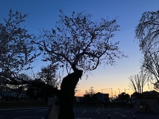 IMG_2600.JPG