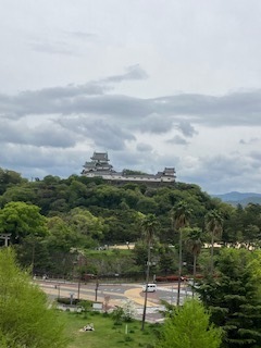 IMG_2662.JPG